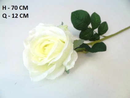 RUŽA ks 70 cm
