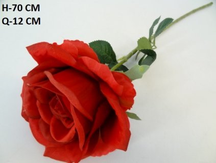 RUŽA ks 70 cm
