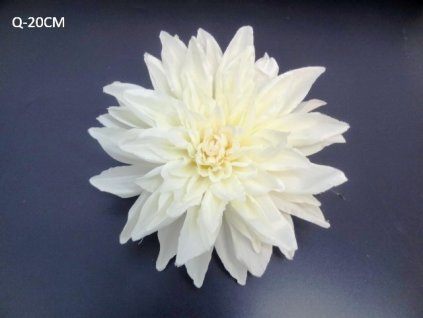 Dalia hlava 20 cm