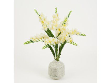 32698 02 cream