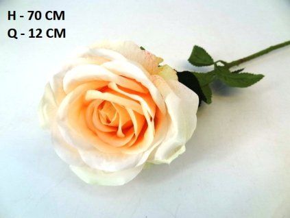 RUŽA ks 70 cm