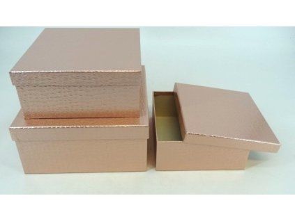 FLOWERBOXY 3 ks - 12 cm