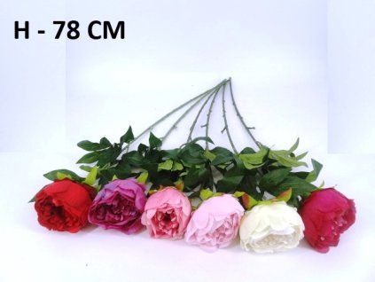 Pivónia 78cm