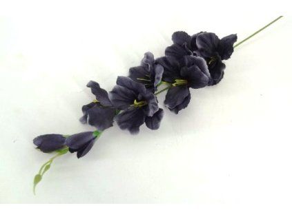 Gladiola 64 cm