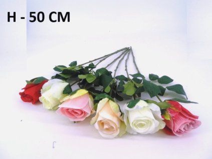 RUŽA ks 50 cm