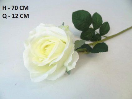RUŽA ks 70 cm
