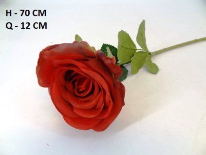 RUŽA ks 70 cm