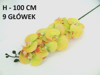 ORCHIDEA ks 100 cm