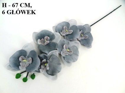 ORCHIDEA ks 67 cm