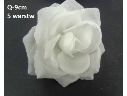 Vencovka ruža 9 cm