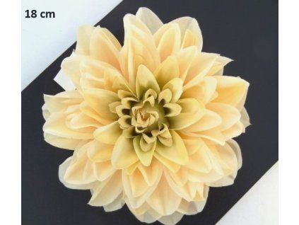 Dalia hlava 18 cm