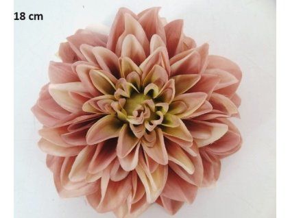 Dalia hlava 18 cm