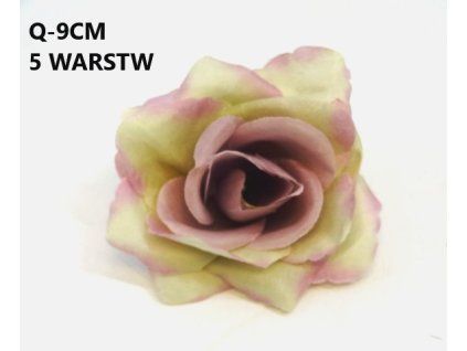 Vencovka ruža 9 cm