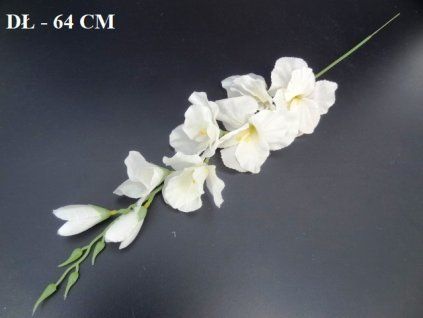 Gladiola 64 cm