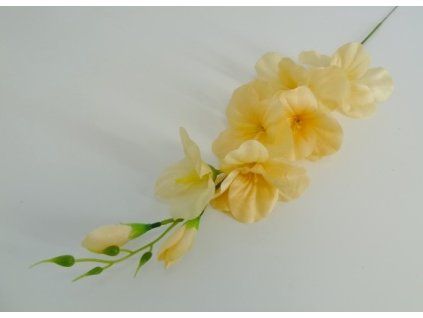 Gladiola 64 cm