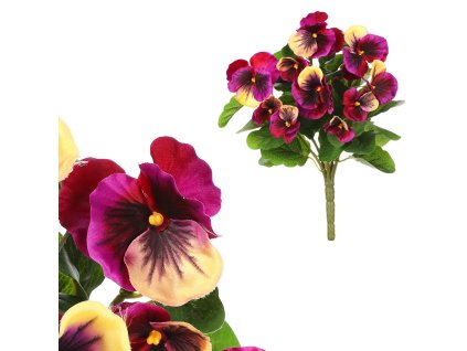 4829 purpurova