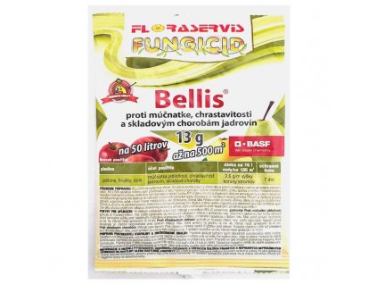 Bellis 13g