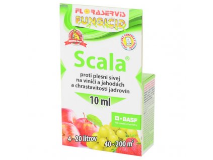 Scala 10ml
