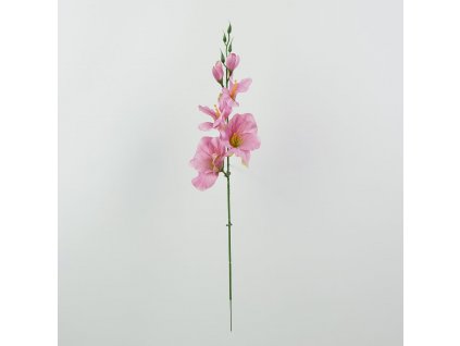 Gladiola 54 cm