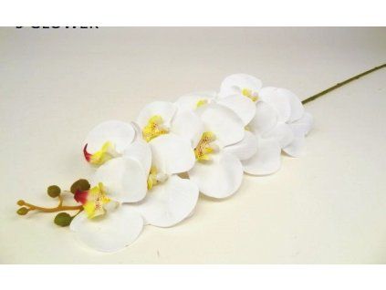 ORCHIDEA ks 100 cm