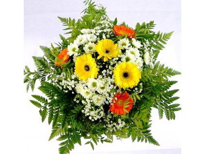 Slnečný úsmev 🌼
