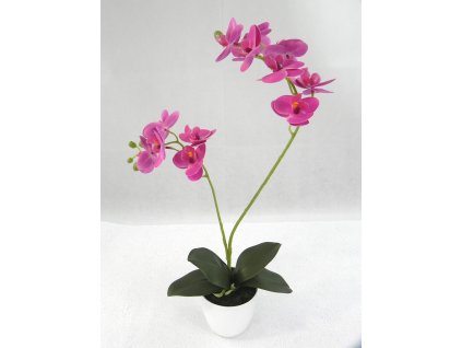 Orchidea v črepníku 52 cm