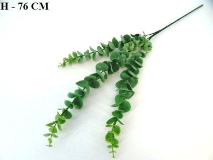EUKALYPTUS 76 cm