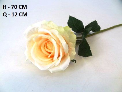 RUŽA ks 70 cm