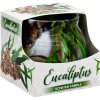 SVIEČKA parfum v skle EUKALYPTUS 90g