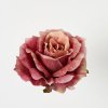 Ruža hlavička 10 cm