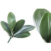 Listy orchidea 28 cm