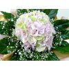 Hortenzia v obláčiku 40 cm
