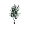 Strom Ficus 190 cm