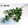 Eukalyptus 88 cm