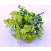 Zeleň doplnková eukalpytus 35 cm