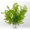 Doplnková zeleň 36 cm