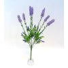 Levanduľa 50 cm