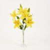 32699 04 YELLOW