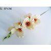 Gladiola ks 56 cm