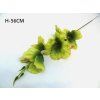 Gladiola ks 56 cm