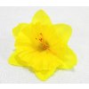 NARCIS hlava 45 cm