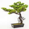 Umelý bonsai v kvetináči 60 cm