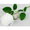 Ruža kusovka 50 cm