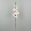 Gladiola 54 cm