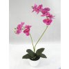 Orchidea v črepníku 52 cm