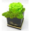 ARANŽMÁN valentín stabilizovaná ruža 14 cm