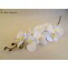 ORCHIDEA umelá biela 90 cm