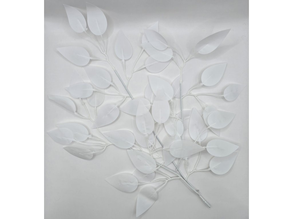 Sada vetvičiek s čistými bielymi listami pre moderné zdobenie tort