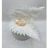 Spiace bábätko na krídlach