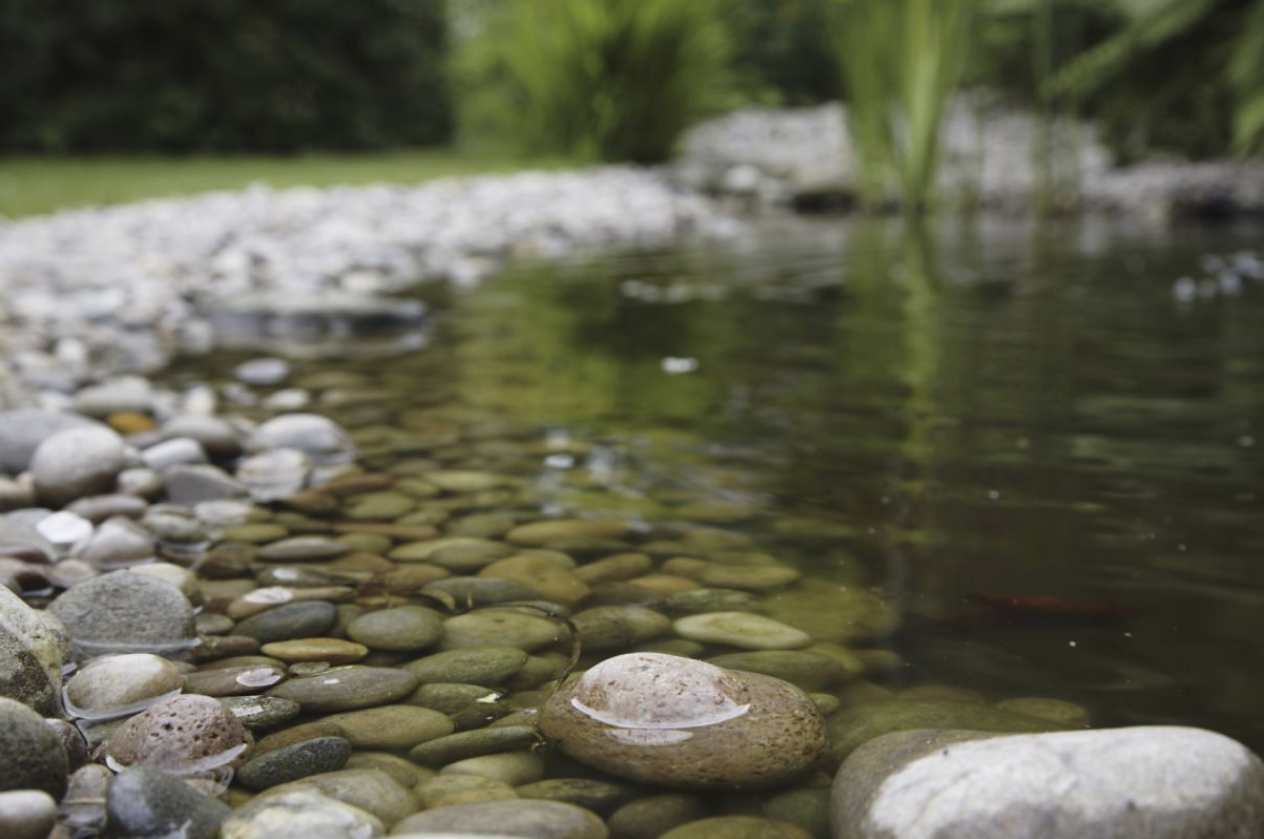 kusové kamene a kamienky v záhrade